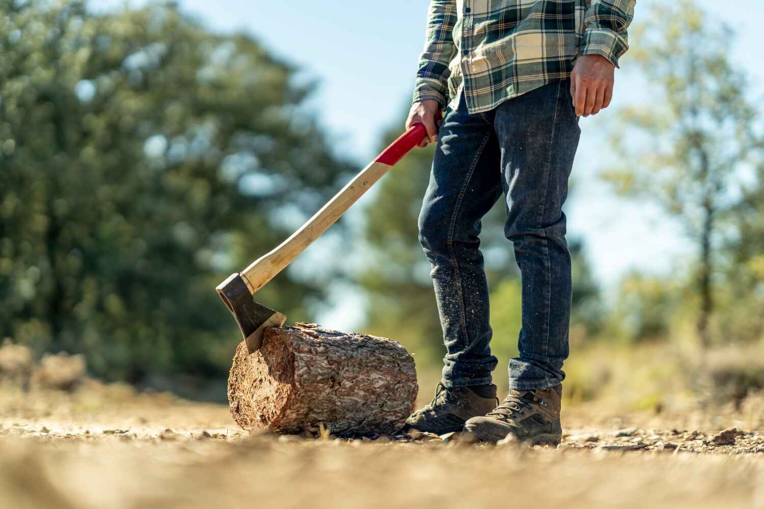 Trusted Atlantic Beach, NC Tree Service Experts